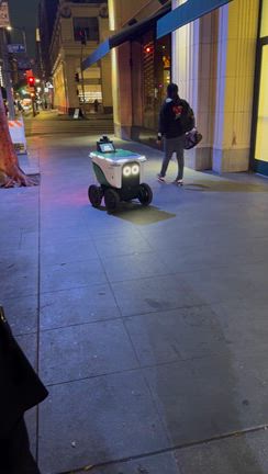自動運転にみた差の記事動画