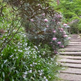 岡寺動画パート2の画像