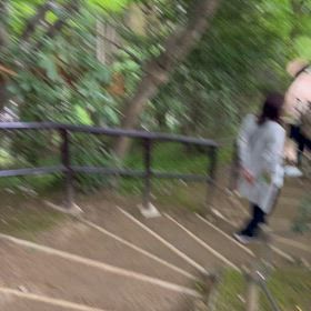 岡寺の動画の画像