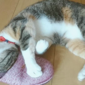作ってみたɱᵒᵛⁱᵉの画像