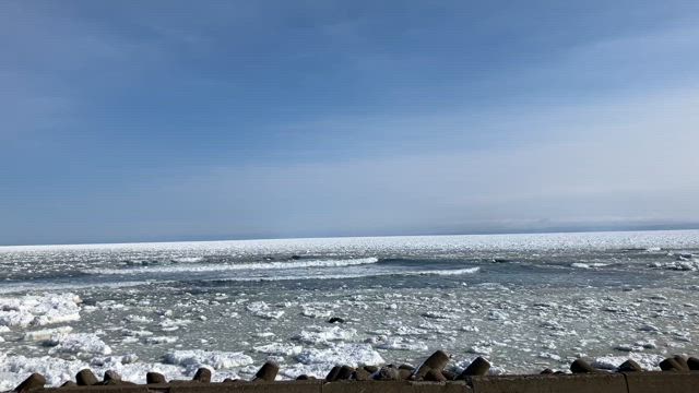 接岸の記事動画