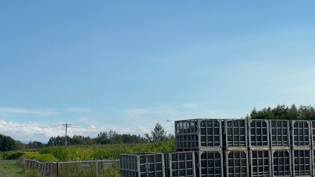 撮る側の記事動画