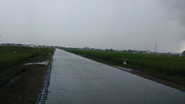 草刈り終わって稲刈りモードへの記事動画