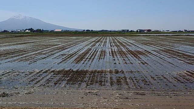 田植えから除草までの記事動画
