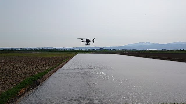 代掻きと湛水直播の記事動画