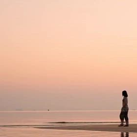 kin230のエネルギーの画像