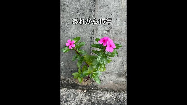 3.11忘れない2026の記事動画