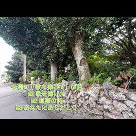 今週のOA曲の画像