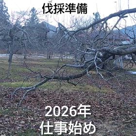 2026年もよろしくお願いしますの画像