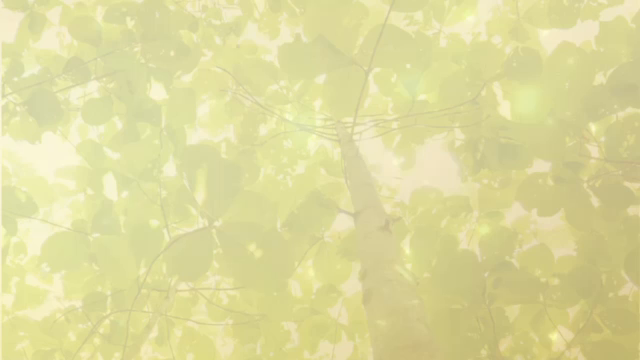 【満員御礼】12/10(日)スペシャル✨トリプルコラボ✨の記事動画