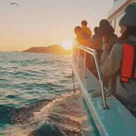 海の朝は最高です！の画像