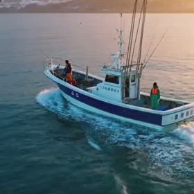 釣りシーズンの画像