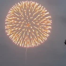 長岡花火20261日目の画像