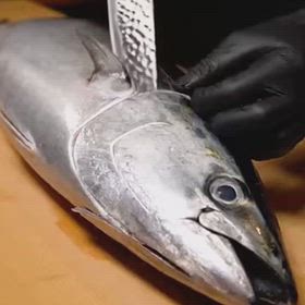 魚料理の画像
