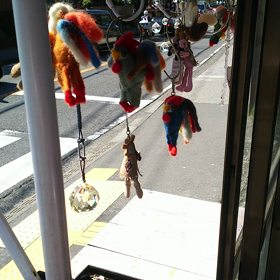 本日は本店お休みさせていただきますの画像