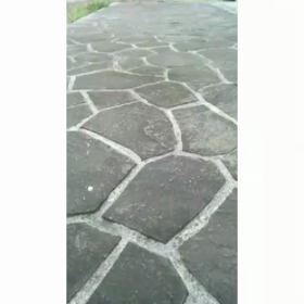 お庭でランラン♡の画像