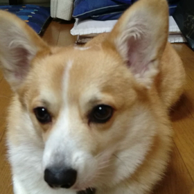 サボりすぎ？の画像
