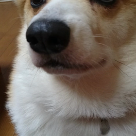 一点集中の画像
