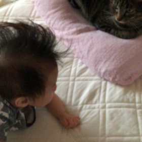 5m10d＊離乳食と猫と息子の画像