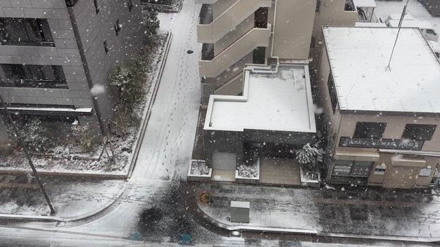さいたまマラソン残念会の日の記事動画
