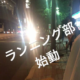 てすにてすにの画像