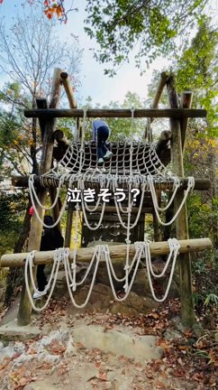 男子を泣かせた娘ｗｗの記事動画