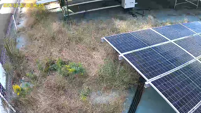 ドローンを飛ばしてみたら？の記事動画