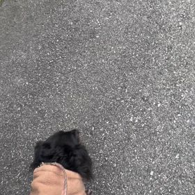 episode201☆ナッツの経過様子…の画像
