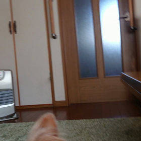 訓練♪の画像