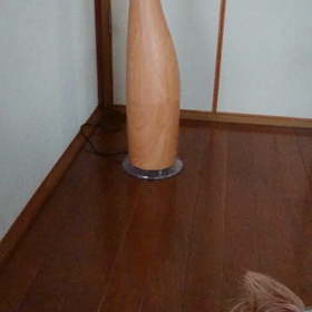 1年 感謝♡の画像