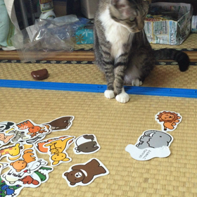 猫とプラレールの画像