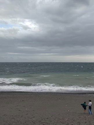 海を見ていた午後の記事動画