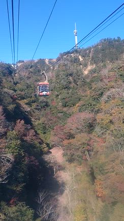 静岡旅〈前編〉の記事動画