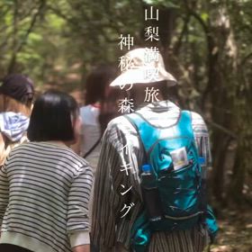 神秘の森散策へ……！の画像
