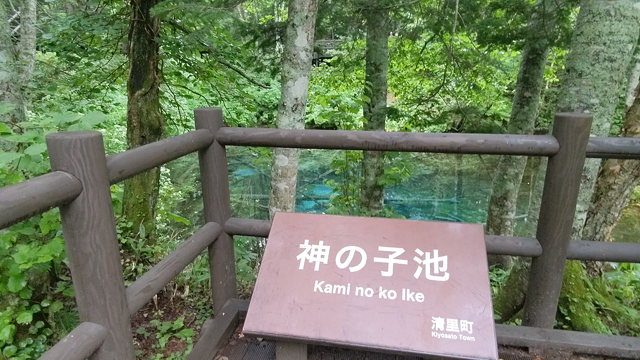 夏の思い出～北海道の大自然を満喫 Part2～の記事動画