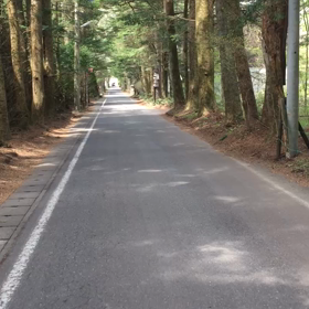 イマゴロキタ...ヤツの画像