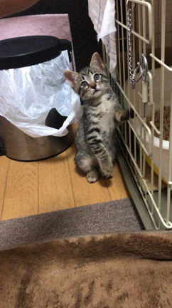 福岡ネイルサロン ナチュラルビューティーの記事動画