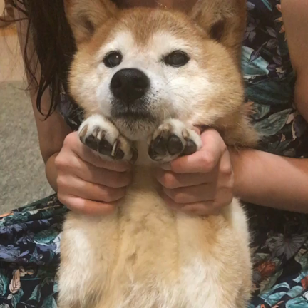 福岡ネイルサロン ナチュラルビューティーの記事動画