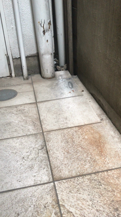 福岡ネイルサロン ナチュラルビューティーの記事動画