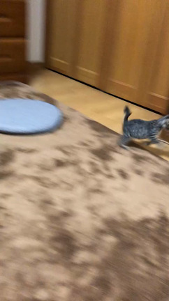 福岡ネイルサロン ナチュラルビューティーの記事動画