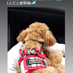 2025/08/24の画像