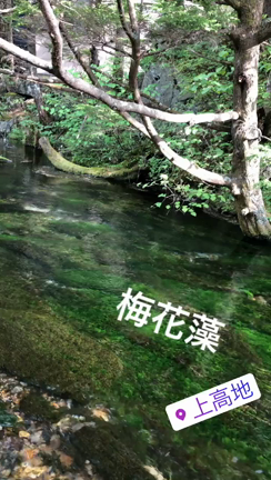 Voice recipe じゃがのみ焼きの記事動画