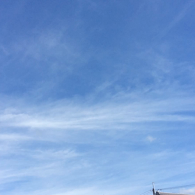 暑いぐらいいい天気  8日の画像