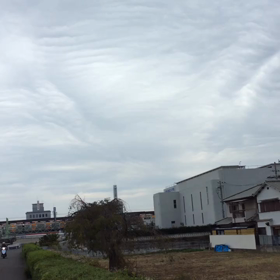 吸い込まれそうの画像