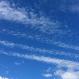 いい空です〜〜の画像