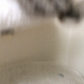 ミヌ遊び　　女主人編の画像