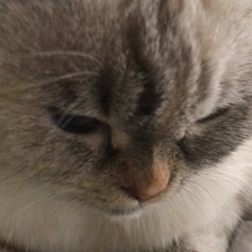 おはよー　　　女主人編の画像