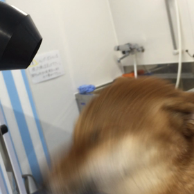 29.8.17の画像