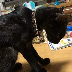 もる〜ん‼️の画像