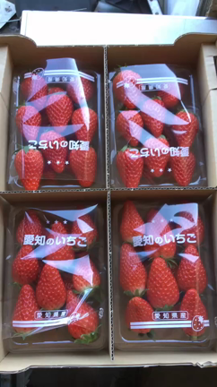 火曜特売♪の記事動画